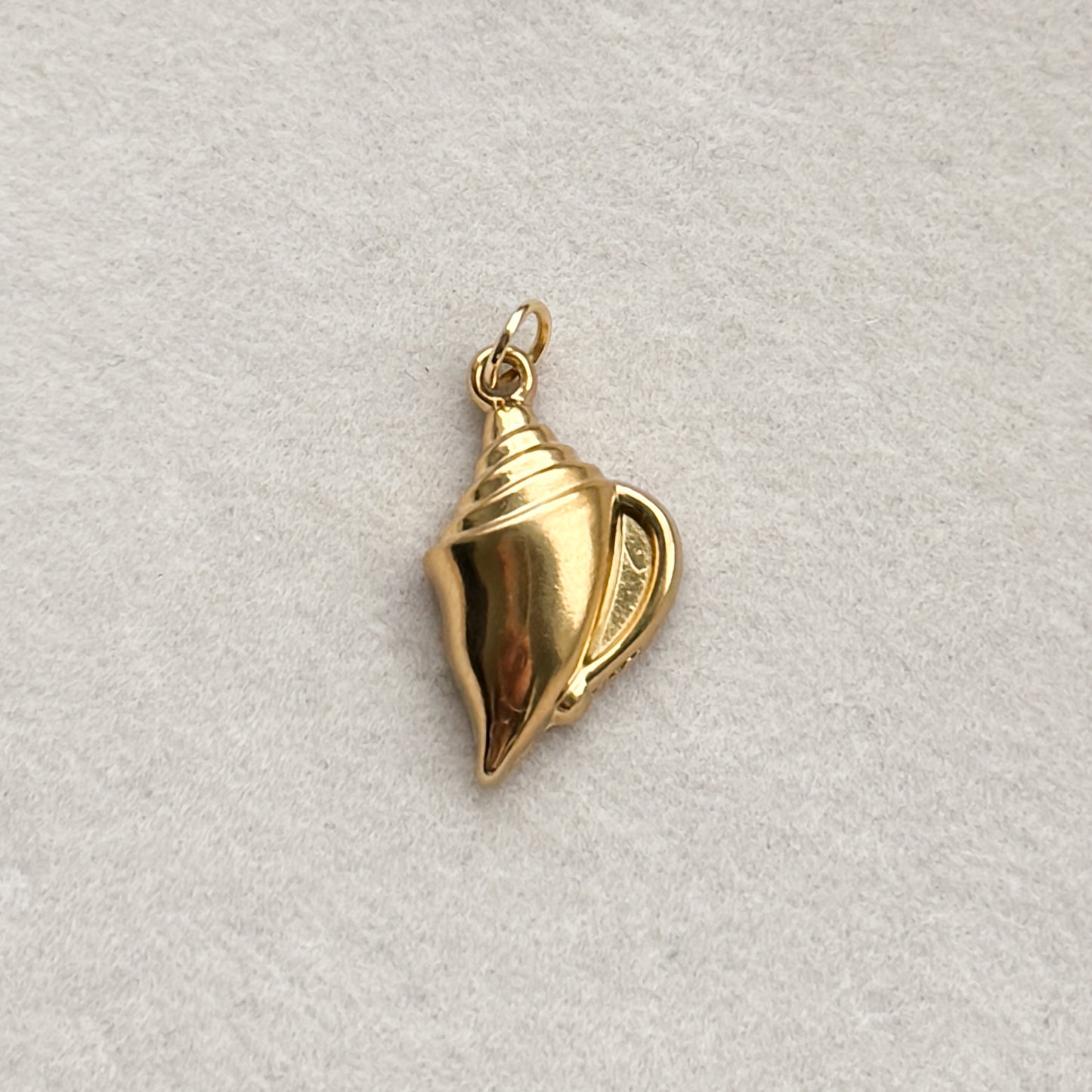 Cowrie Shell Charm