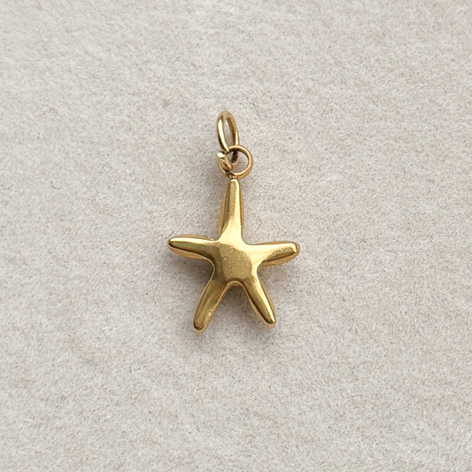 Ocean Star Charm