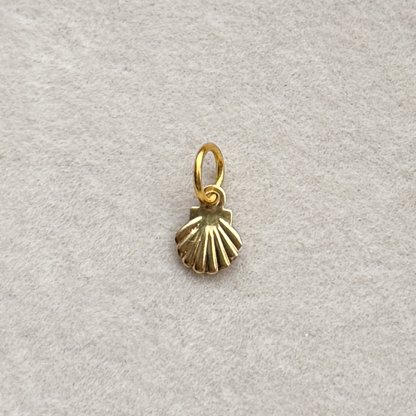 Small Shell Charm