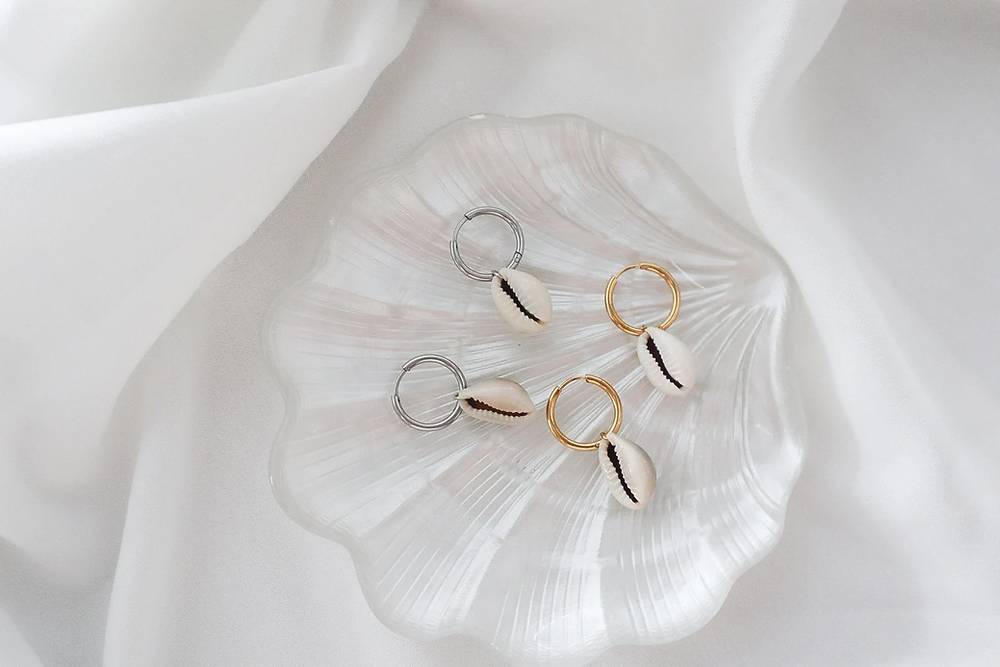 Cowrie Shell Earrings